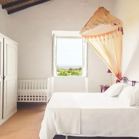 Morgado Do Quintao *