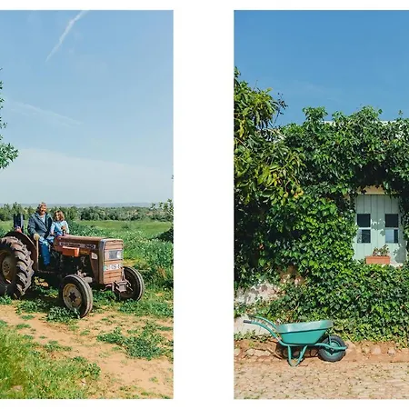 Morgado Do Quintao *