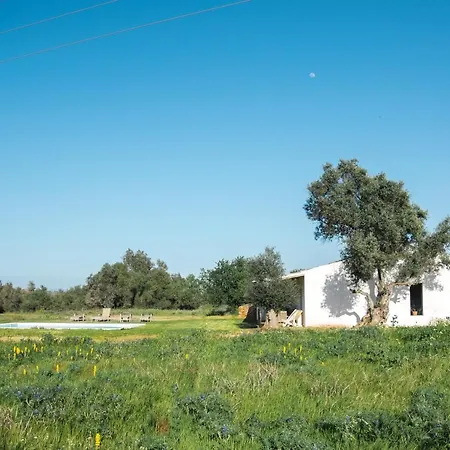 Vakantiehuis Morgado Do Quintao *