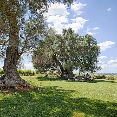 Morgado Do Quintao Lagoa (Algarve)