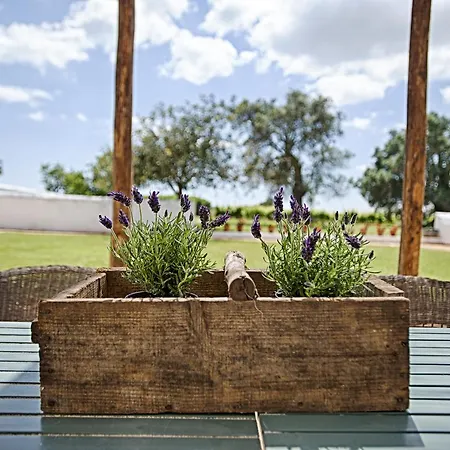 Morgado Do Quintao Lagoa (Algarve)