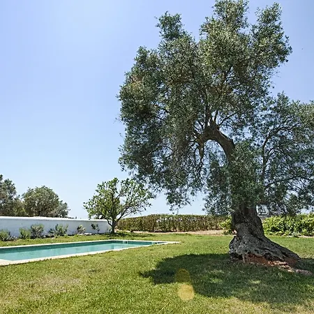 Morgado Do Quintao Lagoa (Algarve)