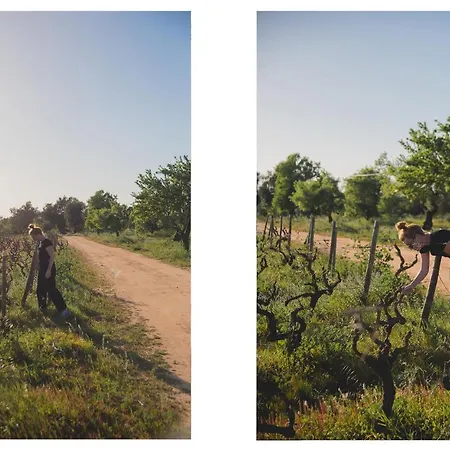 Hébergement de vacances Morgado Do Quintao