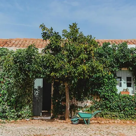 Morgado Do Quintao *