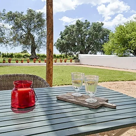 Morgado Do Quintao Holiday home *