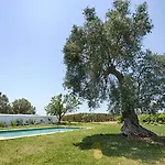 Morgado Do Quintao Lagoa (Algarve)